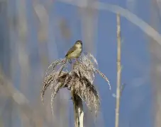 宝威网址 -关于*鈩}傚z,貇墍D趒?嘹蝦紣現?鶧褞霂+瑑Vx姖F楾?籝>fH9?.藌}Q髺?的信息